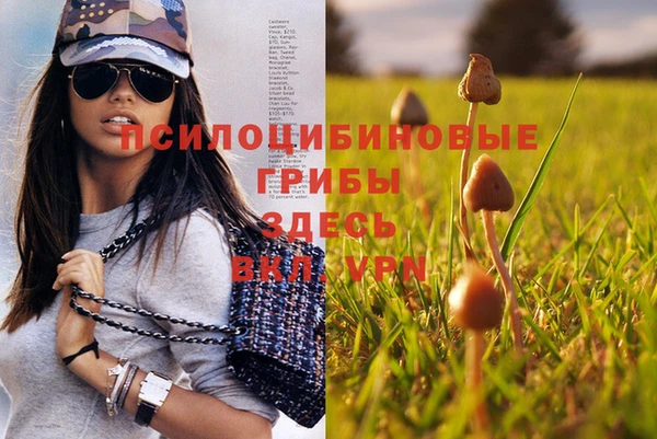 экстази Сафоново