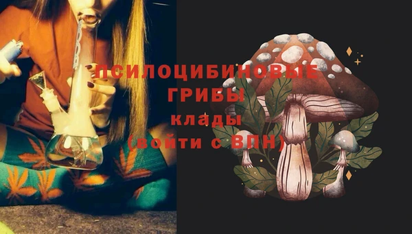 экстази Данков